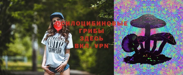 spice Алексеевка